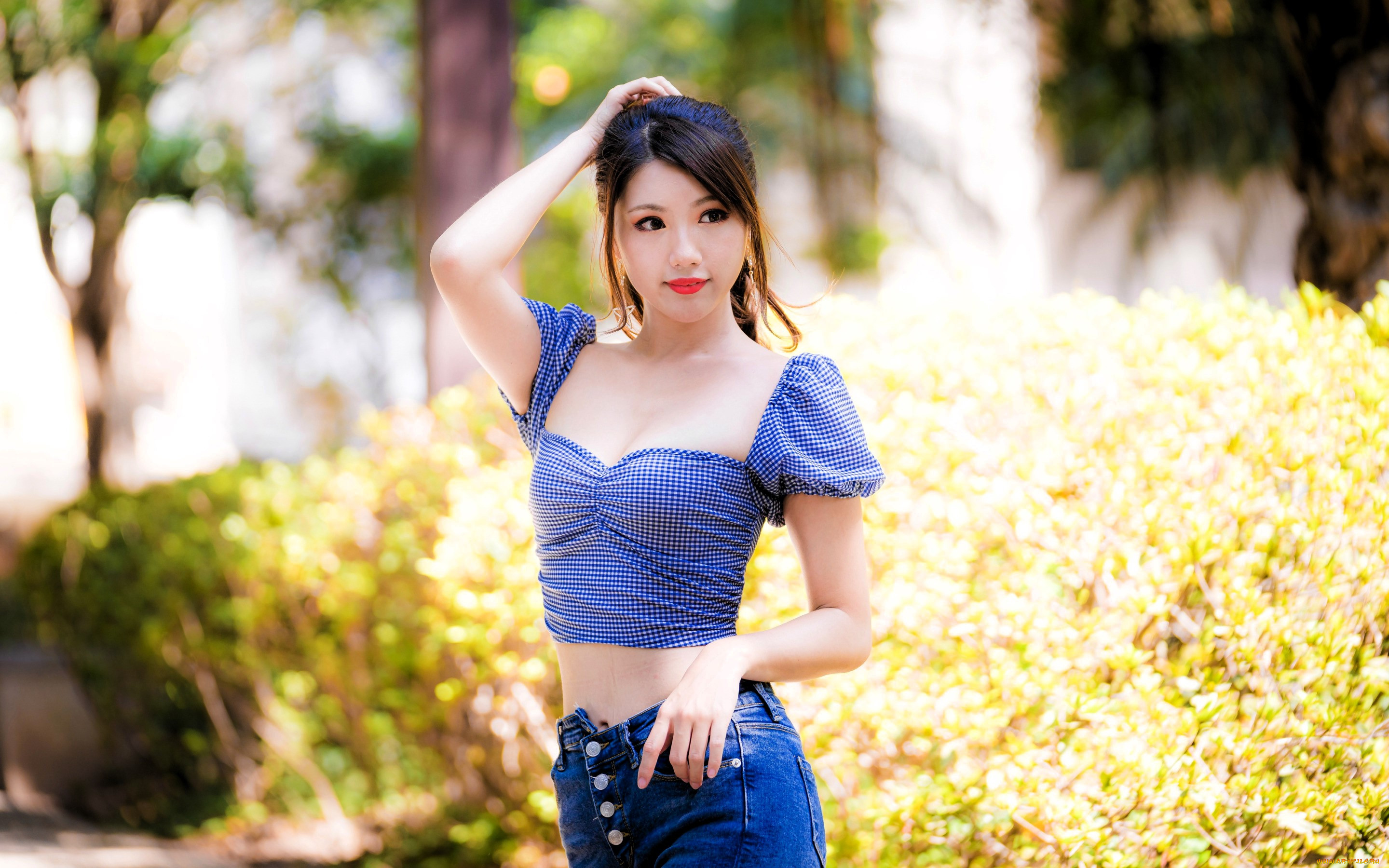 , - , , , , 